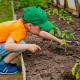 کشاورزی به کمک بسته باغبانی کودک در آپارتمان